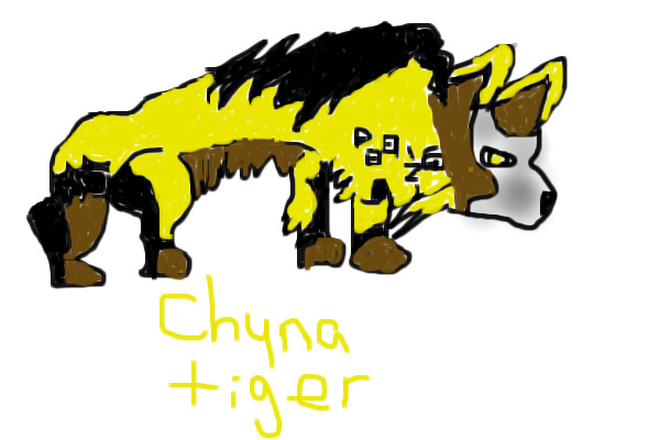 CHYNA TIGER