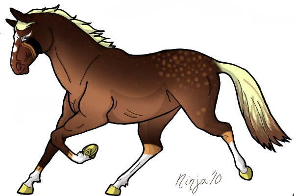 Colored in Horse Lines