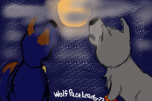 For Wolves_rock's Contest