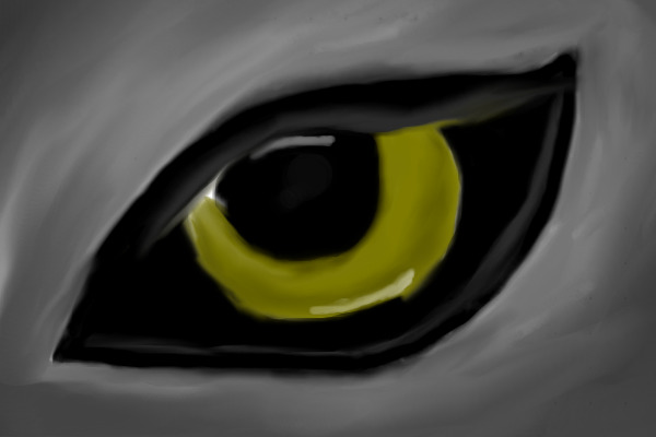 The Eye of a Wolf