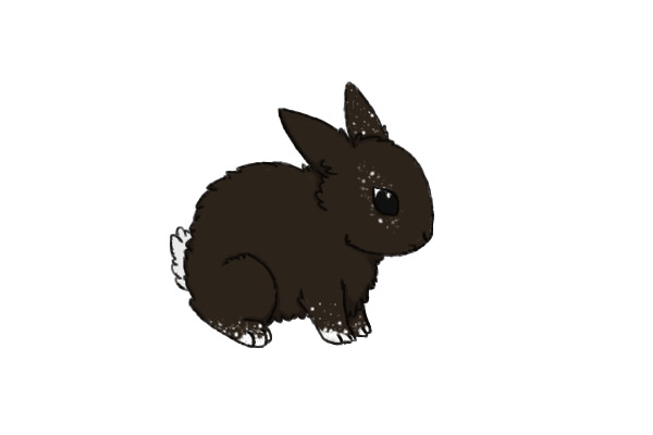 Speckled Bunny