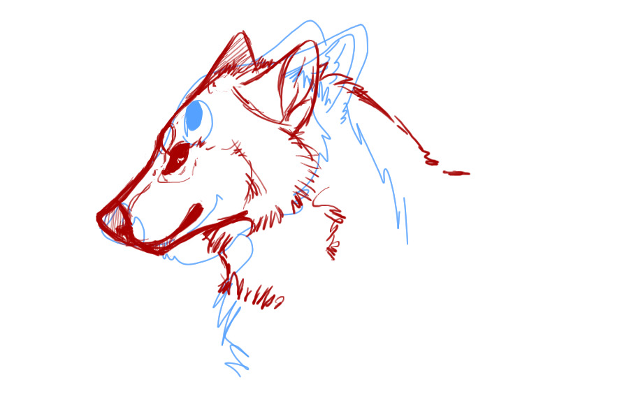 Wolf face redline