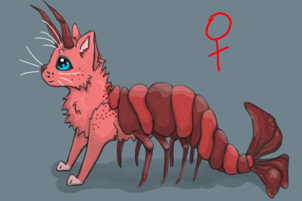 Shrimp Cat #23