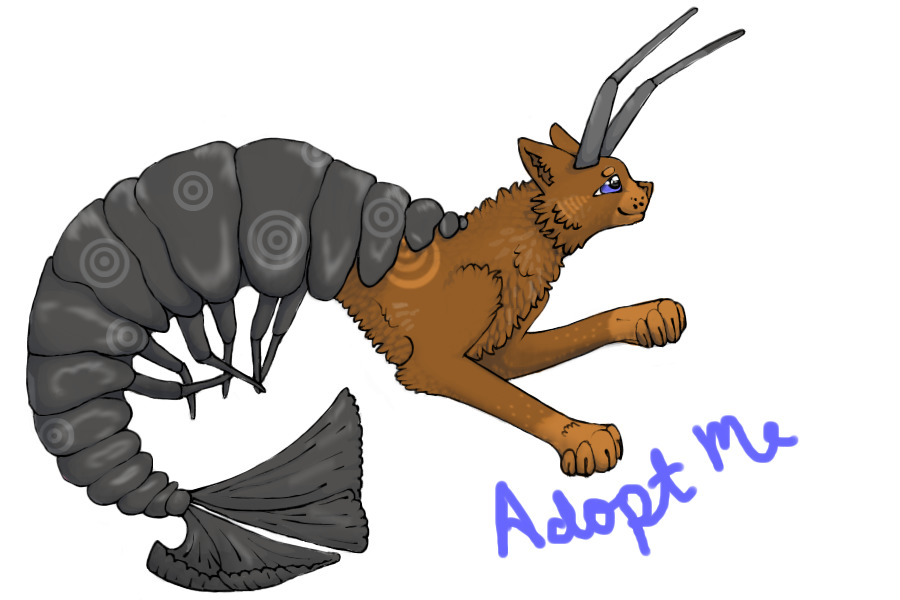 Shrimp Cat #4