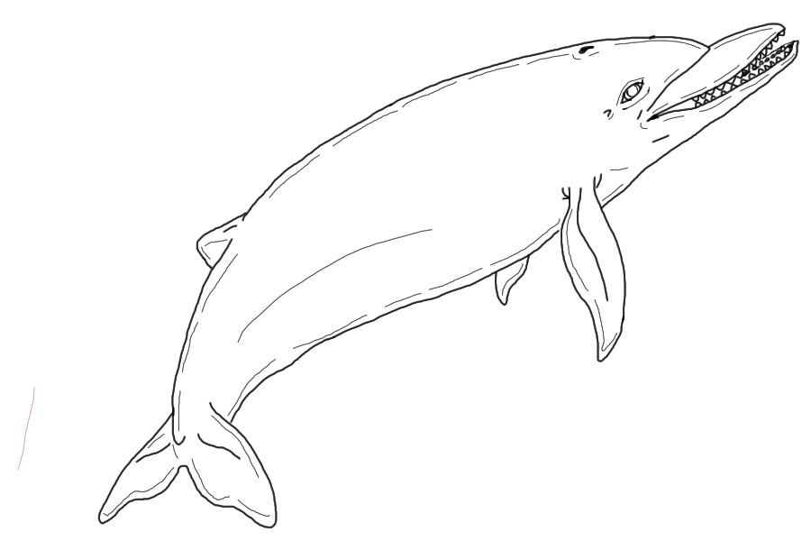 fantasy cetacean 2