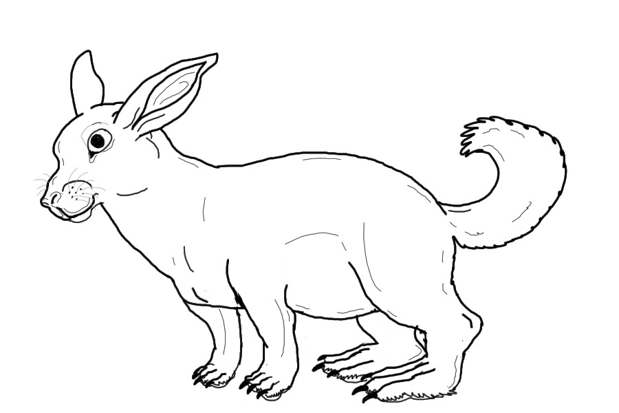 vaugly lepusoine, long tail bunny