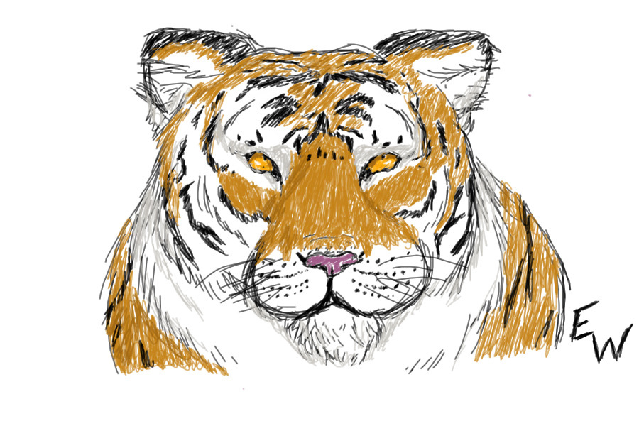 -Big Improvement- Siberian Tiger
