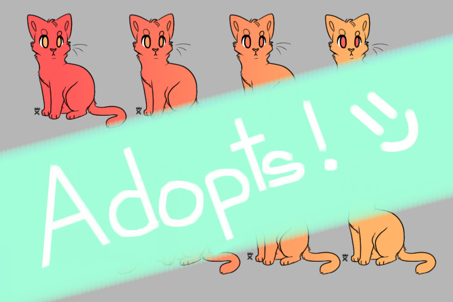 Cat Adopts