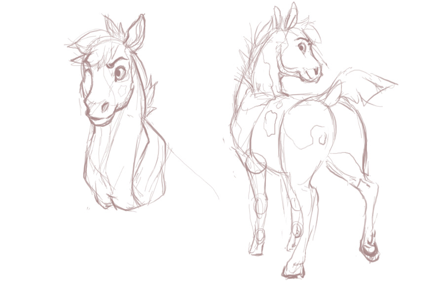 Attempts to draw equines