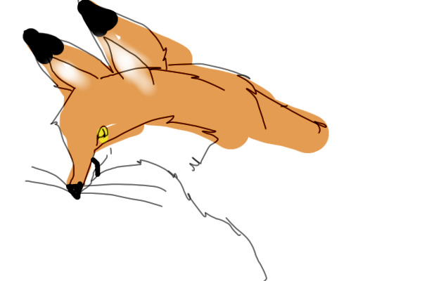 i will never draw a fox on laptop in ohio again...