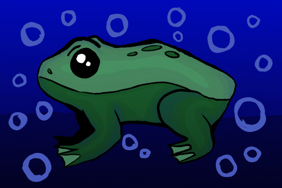 frog attempt