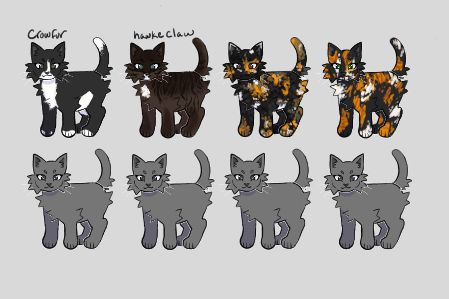 My Warrior Cats for Dawnclan