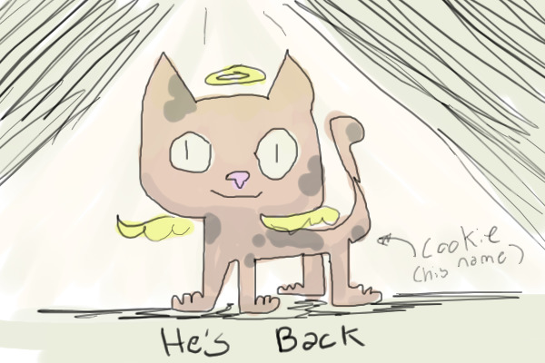 Cookie's Return