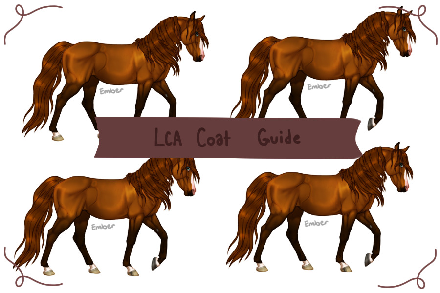 Lemaire Channel Arabians: Specialty Coat Guide