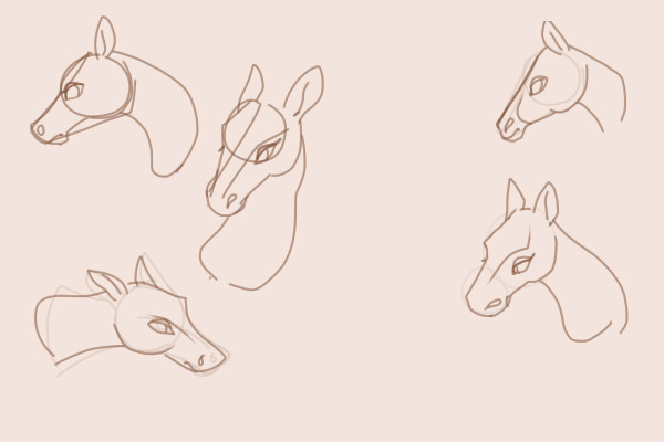 fantasia horse sketches