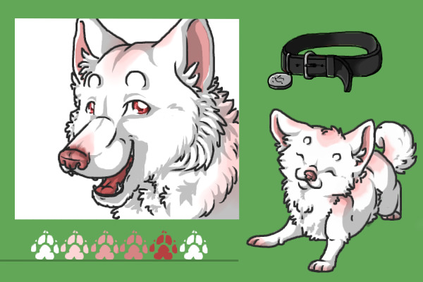 Husky/Malamute Character Adoption #8 -ADOPTED-