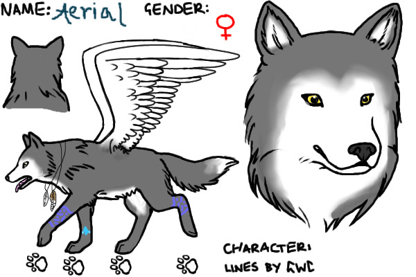 Reference for my Fursona, Aerial