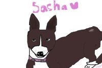 Sasha ♥