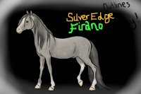 Silver Edge Firano