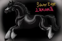 Silver Edge Lakora