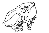 frog edit adopt