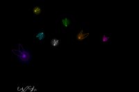 Fireflies <3