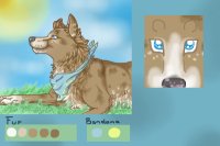 Collie Character -ADOPTED-