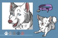Husky/Malamute Character Adoption #12 -ADOPTED-