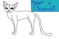 Adopt a Psycat!